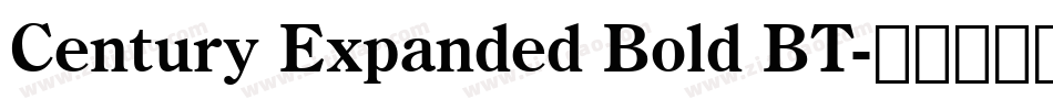 Century Expanded Bold BT字体转换